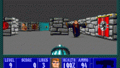 Wolfenstein: The New Order