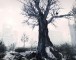 May Doldrums
