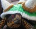 Bowser Cosplay Is A Cute Disguise For Your Turtle