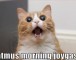 Still Alive, The Alivening