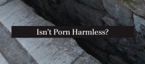 Harmless porn
