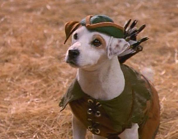 If these companies would create a CoD: Ghosts and Assassin's Creed crossover game, we could get Wishbone: The Game!